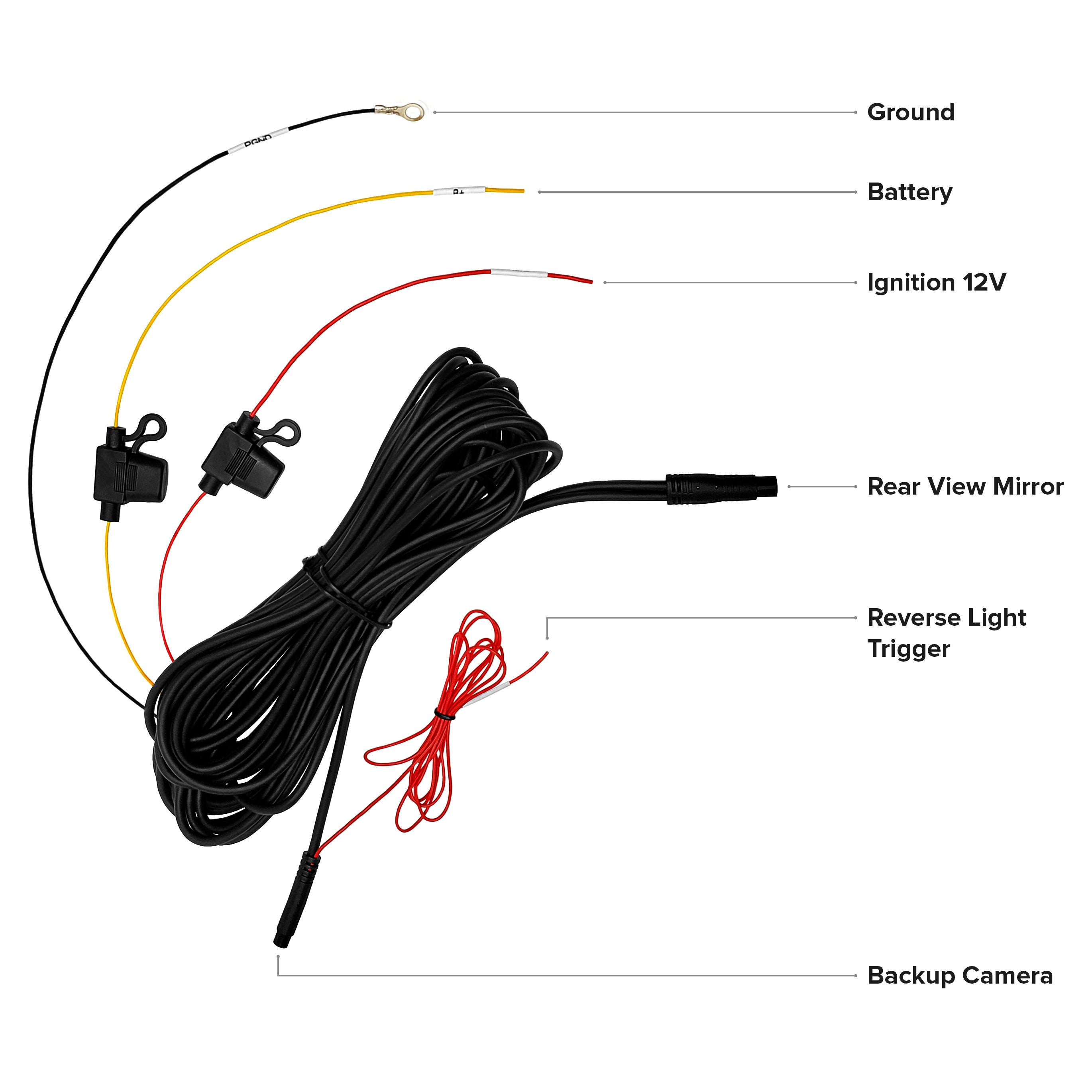 Master Tailgaters 10