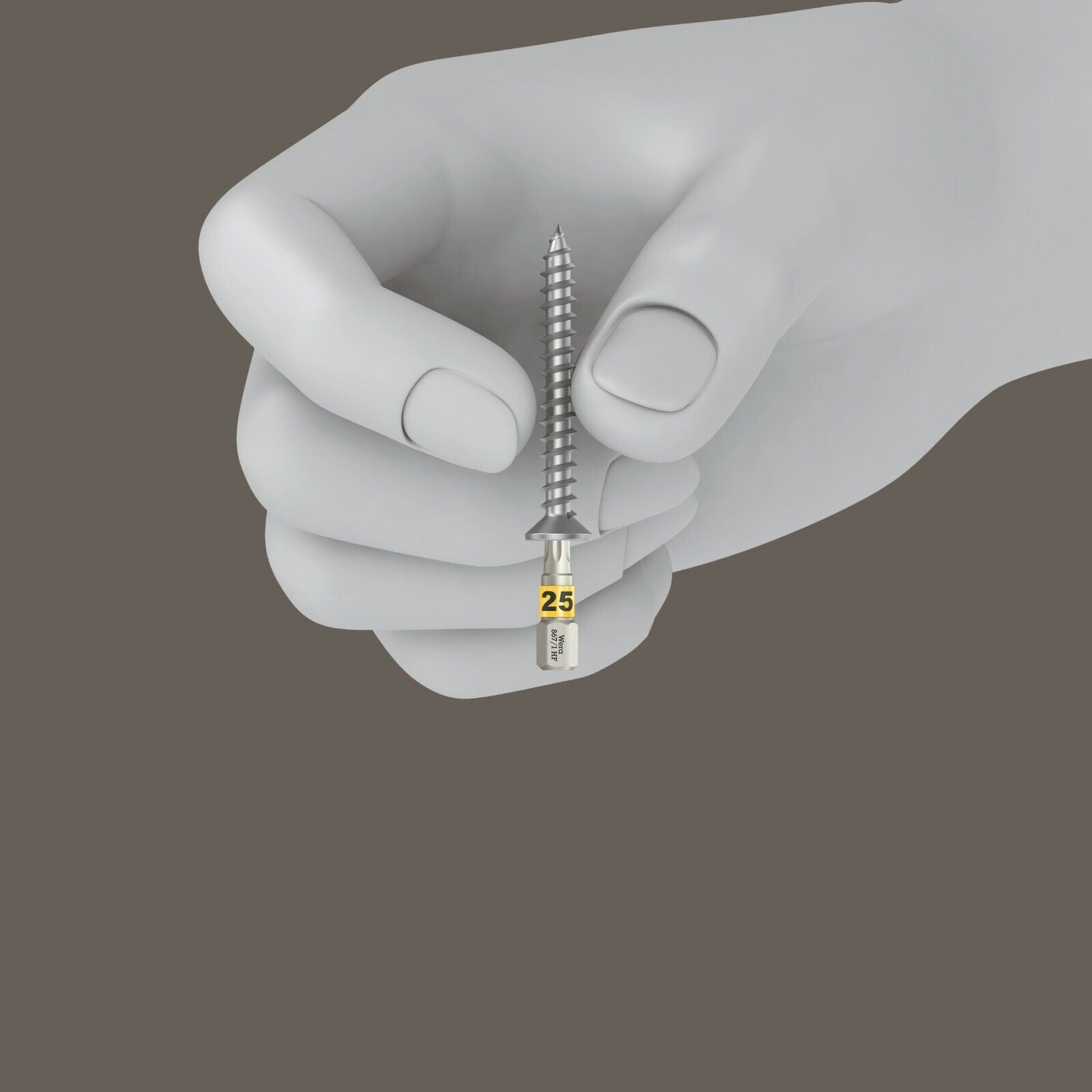 Wera Bit-Box 20 TORX® HF Bits HF TX 20 x 25mm 20 Pieces 05057777001