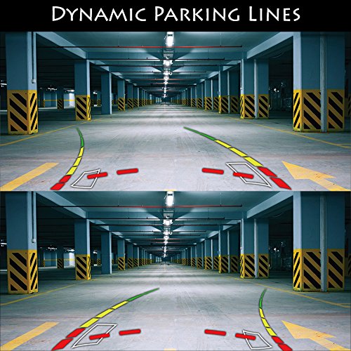 Master Tailgaters 10.5