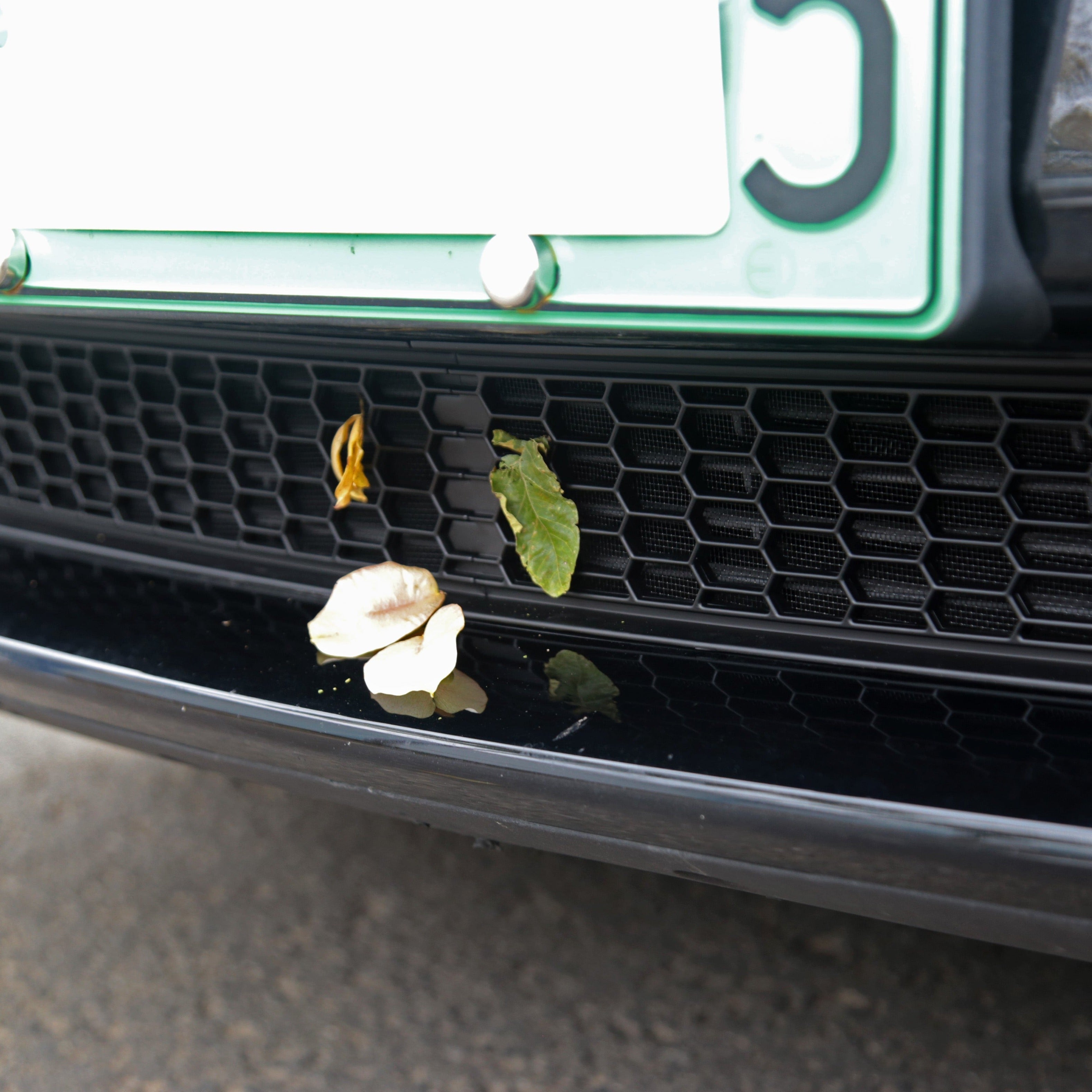 Insect Screens Suitable for Tesla Model 3