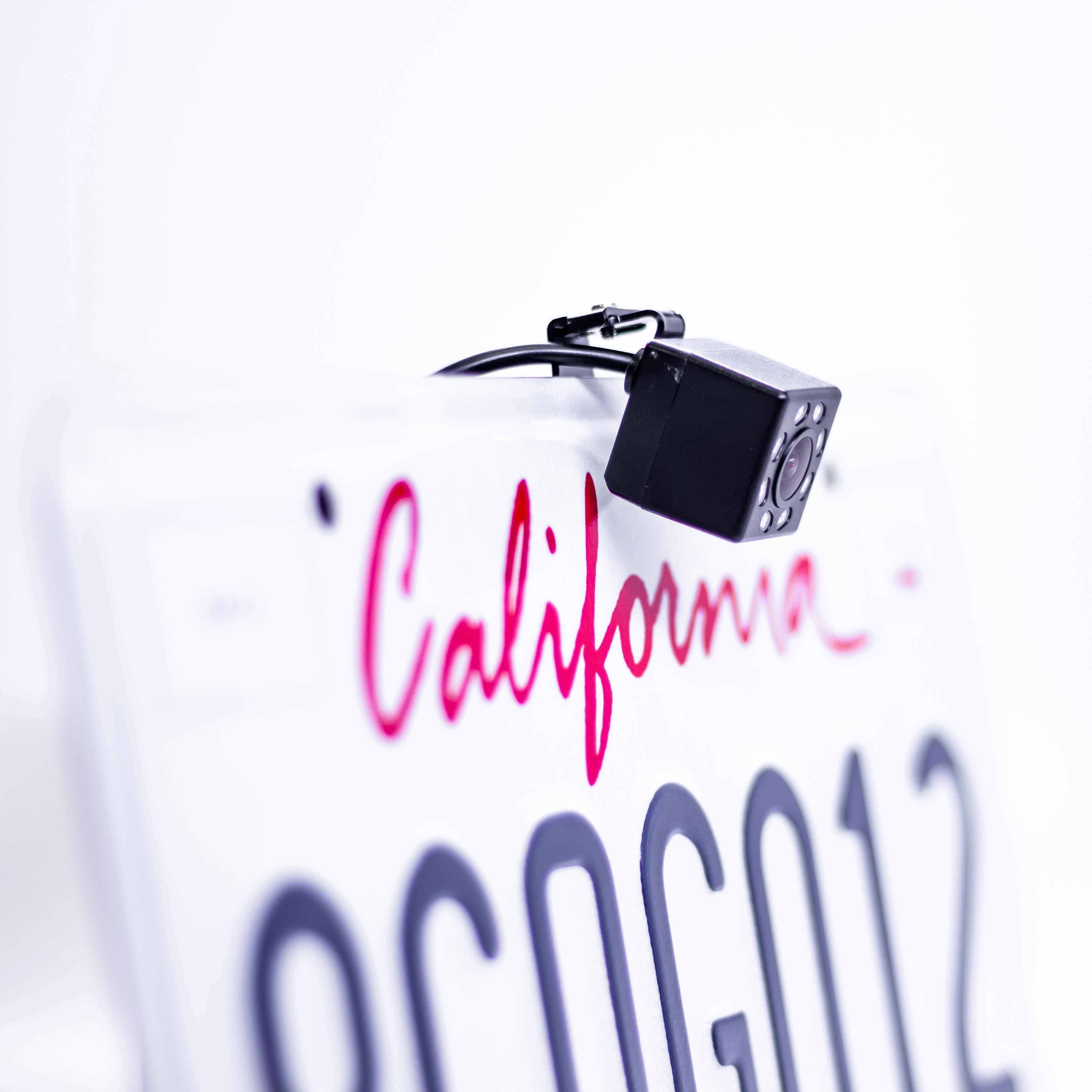 Master Tailgaters 10.5